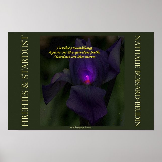 Poster du portfolio "Fireflies & Stardust" (16,5 x (Devant)