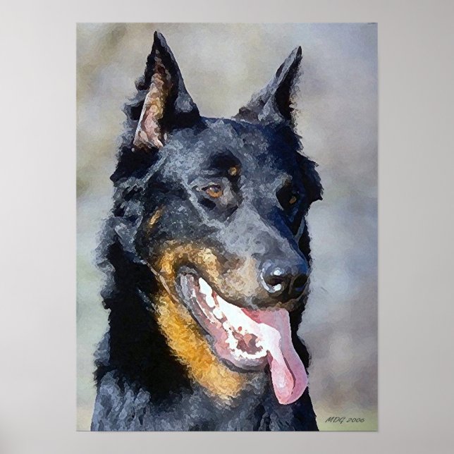 Poster du portrait de chien de Beauceron Imprimer (Devant)
