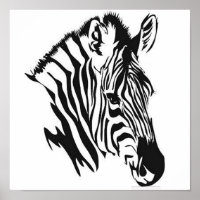 Poster du profil Zebra