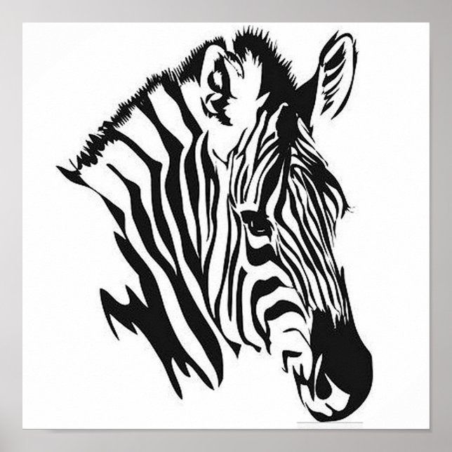 Poster du profil Zebra (Devant)