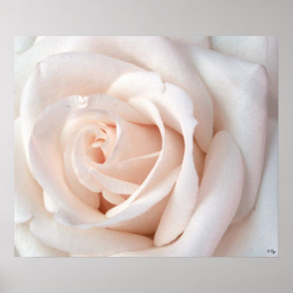 Poster du Rose mariage, S Cyr