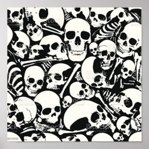 Poster du sac d'os