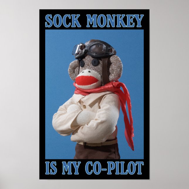 Poster du singe du copilote (Devant)