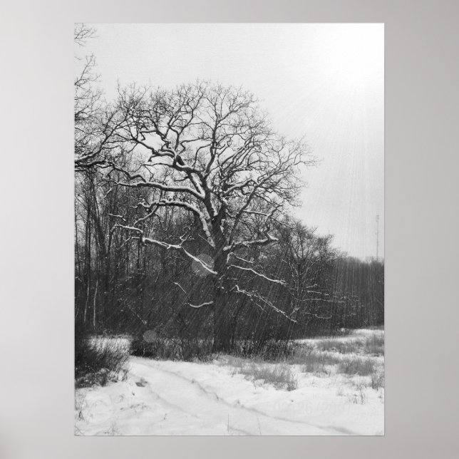 Poster du Solstice d'hiver (Devant)