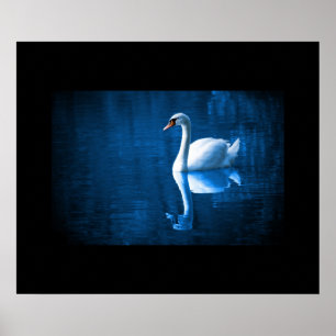 Poster du Swan