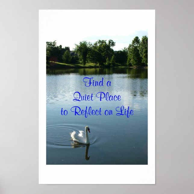 Poster du Swan (Devant)