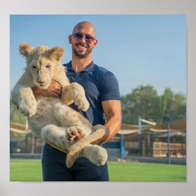 Poster du tigre Andrew Tate (Devant)