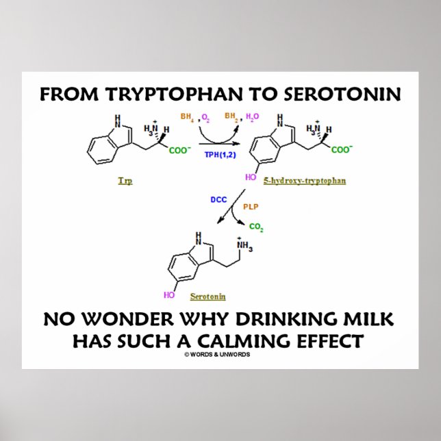 Poster Du Tryptophane À La Serotonine (Humour De Chimie) (Devant)