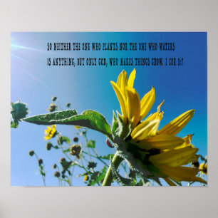 Poster du verset de la Bible, les fleurs poussent