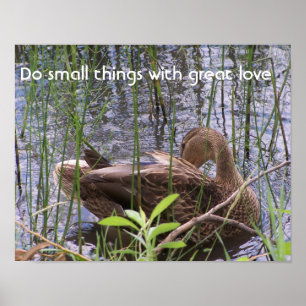Poster Duck Preening in the Reed