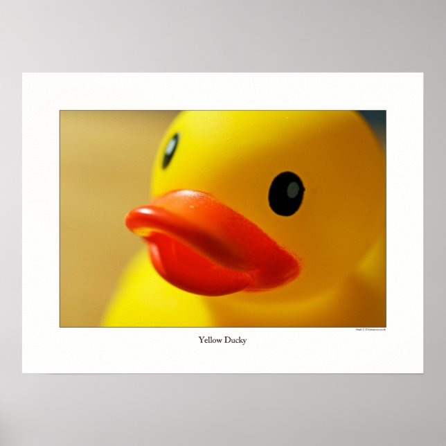 Poster Ducky jaune (Devant)