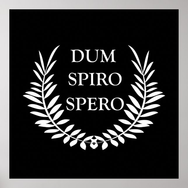 Poster dum spiro spero (Devant)