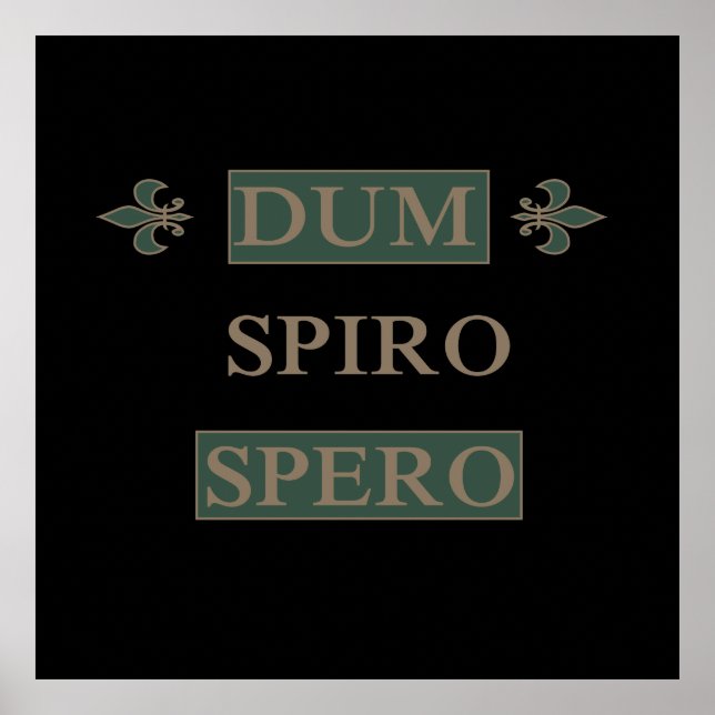 Poster dum spiro spero (Devant)