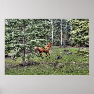 Poster Dun Ranch Horse Cantonnement en Equine Forestière