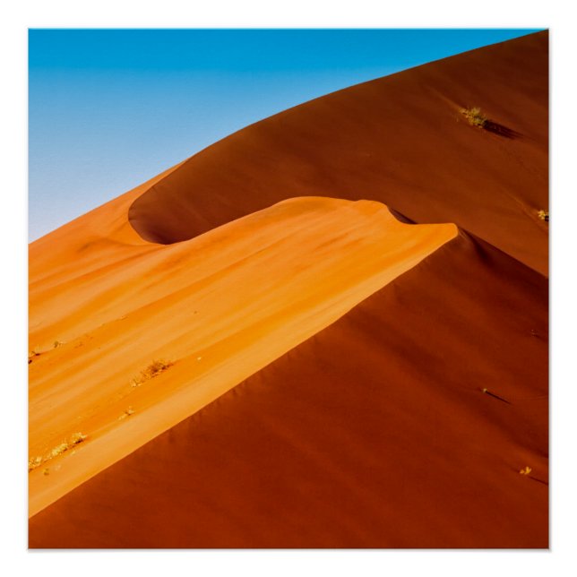 Poster Dune 45 (Devant)