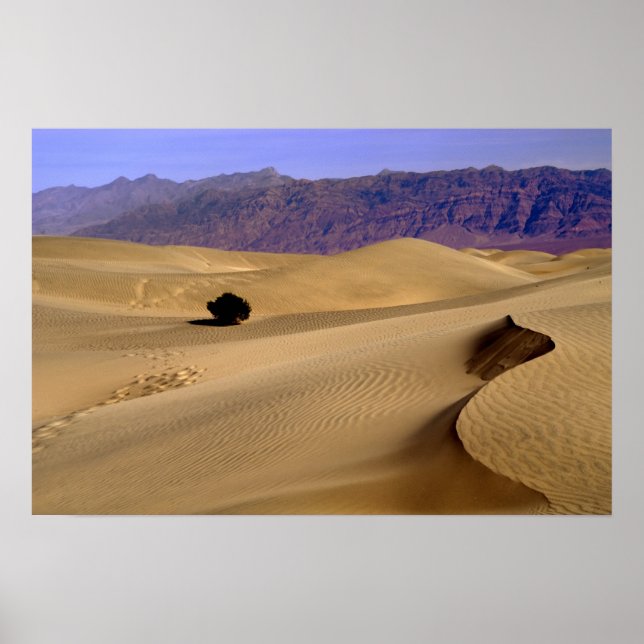 Poster dune de sable de la vallée de la Mort (Devant)