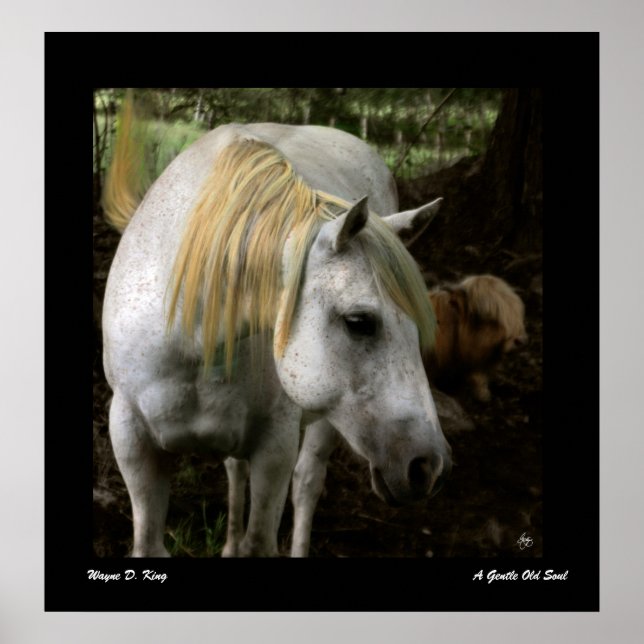 Poster d'une douce âme (Devant)