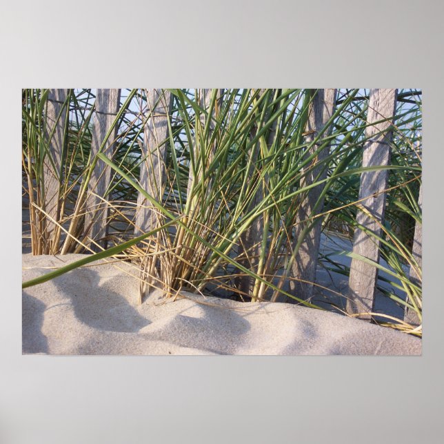 Poster Dune Grass (Devant)