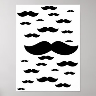Poster d'une volée de moustaches