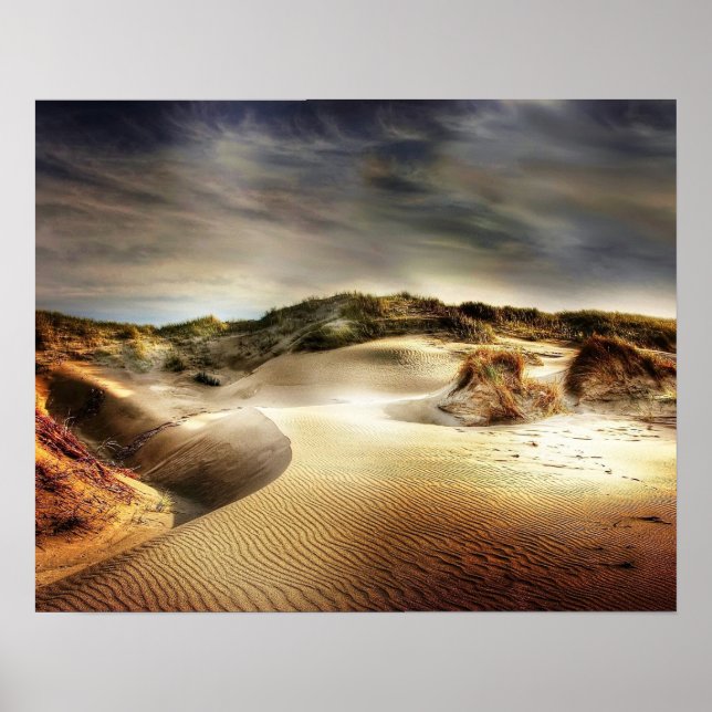 Poster Dunes de la mer du Nord (Devant)