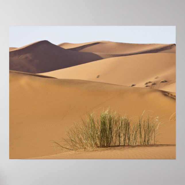 Poster Dunes de sable, désert du Sahara, Maroc (Devant)