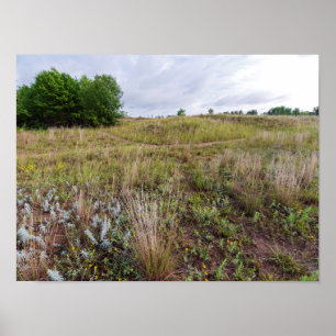 Poster dunes gris paysage de prairie