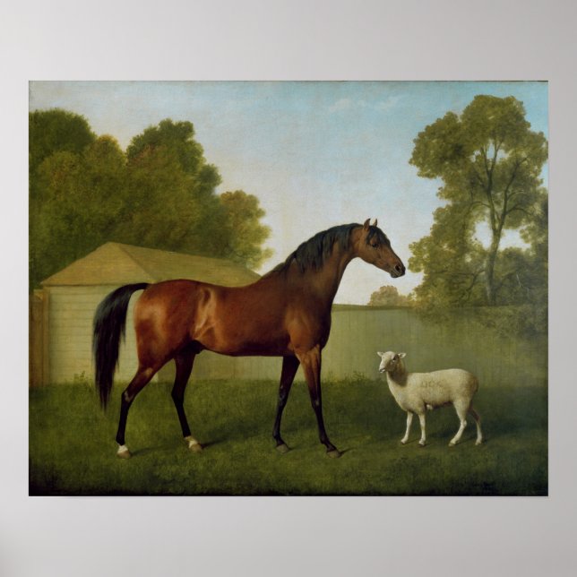 Poster Dungannon, propriété du colonel O'Kelly (Devant)