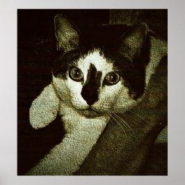 Poster Dur à cuire.