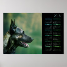 Dutch Shepherd - Calendrier néerlandais 2018