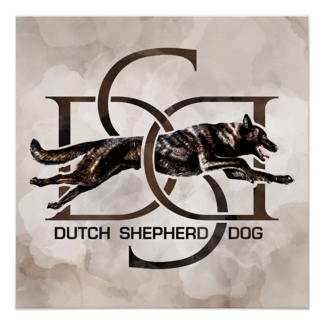 Poster Dutch Shepherd - Illustration utchie (Devant)