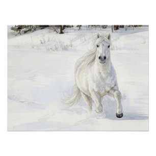 Poster Dyfra le cheval islandais galopant dans la neige