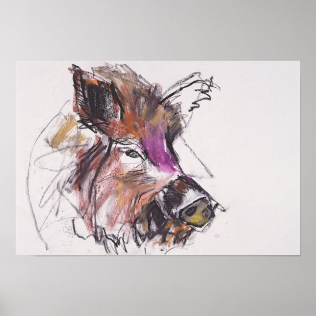 Poster Dzik (Devant)