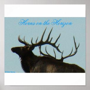 Poster E11 Tir à la tête en silhouette d'Elk Bull