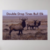 E19 Élan mâle double ramure tombante