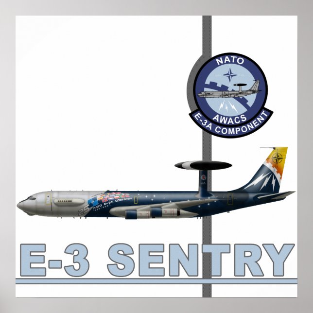 Poster E-3 Sentry Print (Devant)