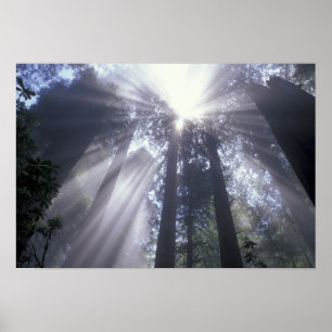 Poster É.-U., Californie. Del Norte Coast State 2
