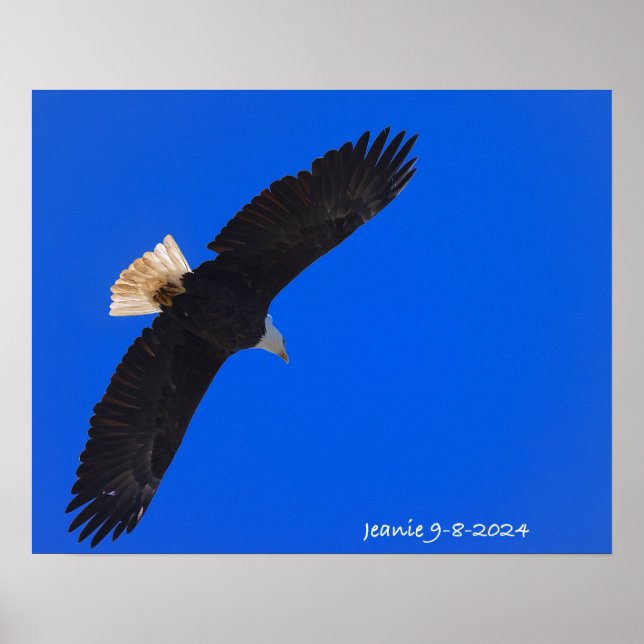 Poster Eagle against a blue sky (Devant)