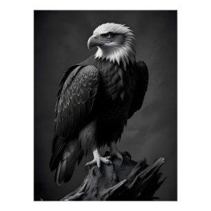 Poster Eagle Faune Majestic Nature Vie Fond d'écran