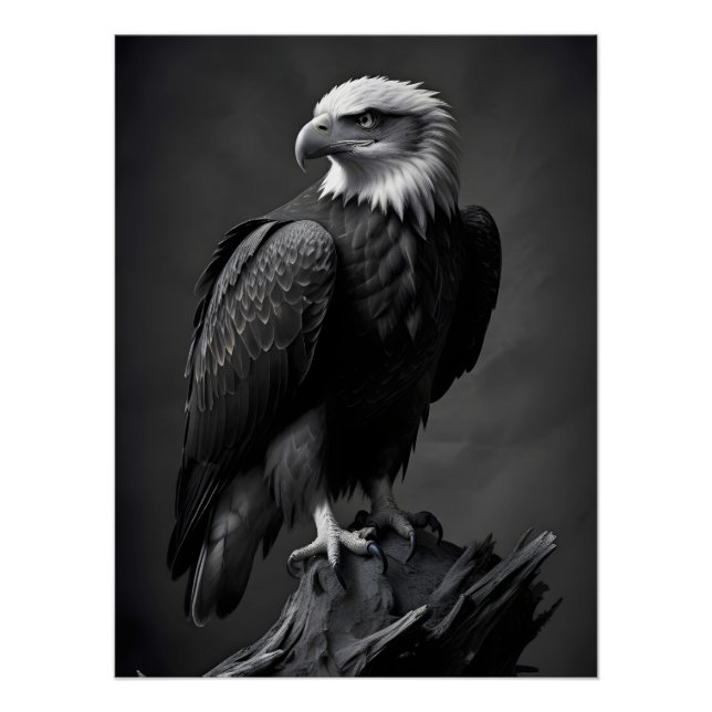 Poster Eagle Faune Majestic Nature Vie Fond d'écran (Devant)