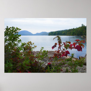 Poster Eagle Lake et Red Maple Feuilles