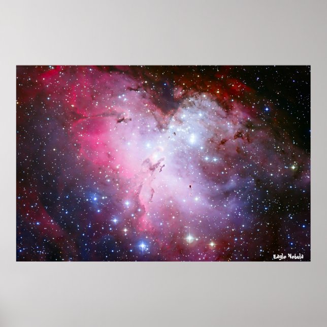 Poster Eagle Nubla (Devant)