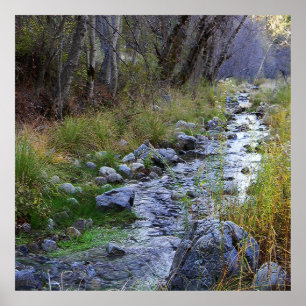 Poster East Fork/Hayfork creek......