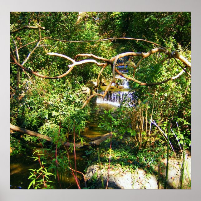 Poster Eau cachée (Devant)