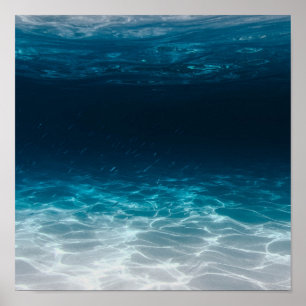 Poster Eau de mer sous la mer