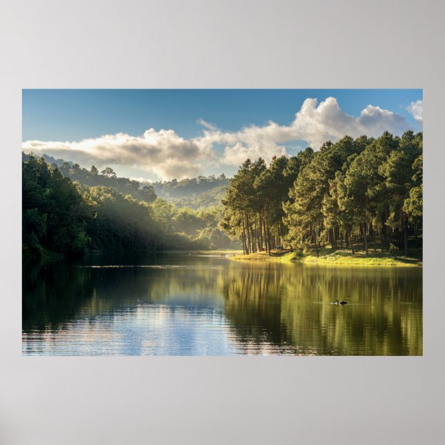 Poster Eau | Pang Oung Lake & Pine Forest Thaïlande (Devant)