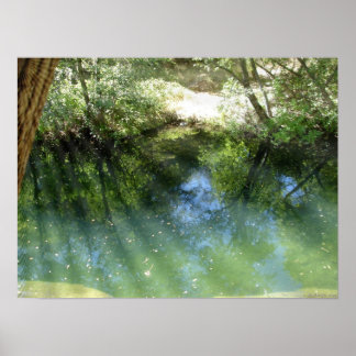 Poster eau psychédélique