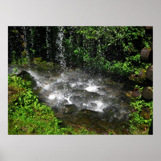 Poster Eaux chatoyantes (Devant)