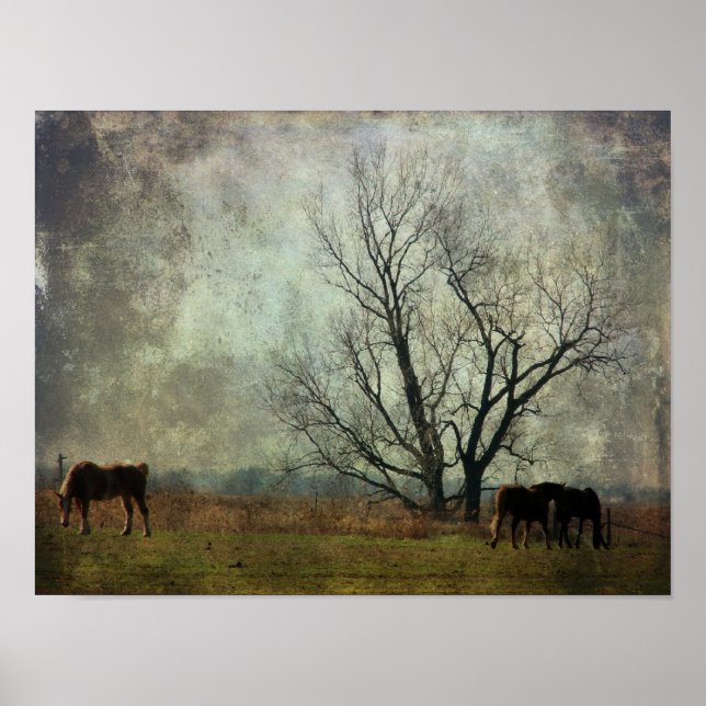 Poster Ébauche de chevaux en campagne (Devant)