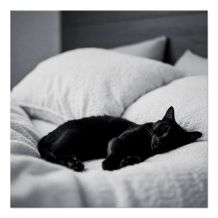 Poster Ebony Dreams : Confort Feline et charme