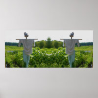 Écart Dans Le Miroir Du Champ De Jardin Abstrait